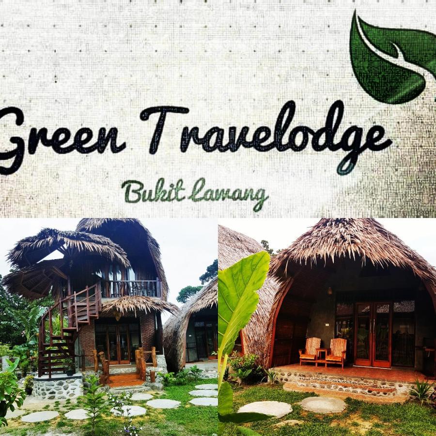 Green Travelodge Bukit Lawang Exterior foto