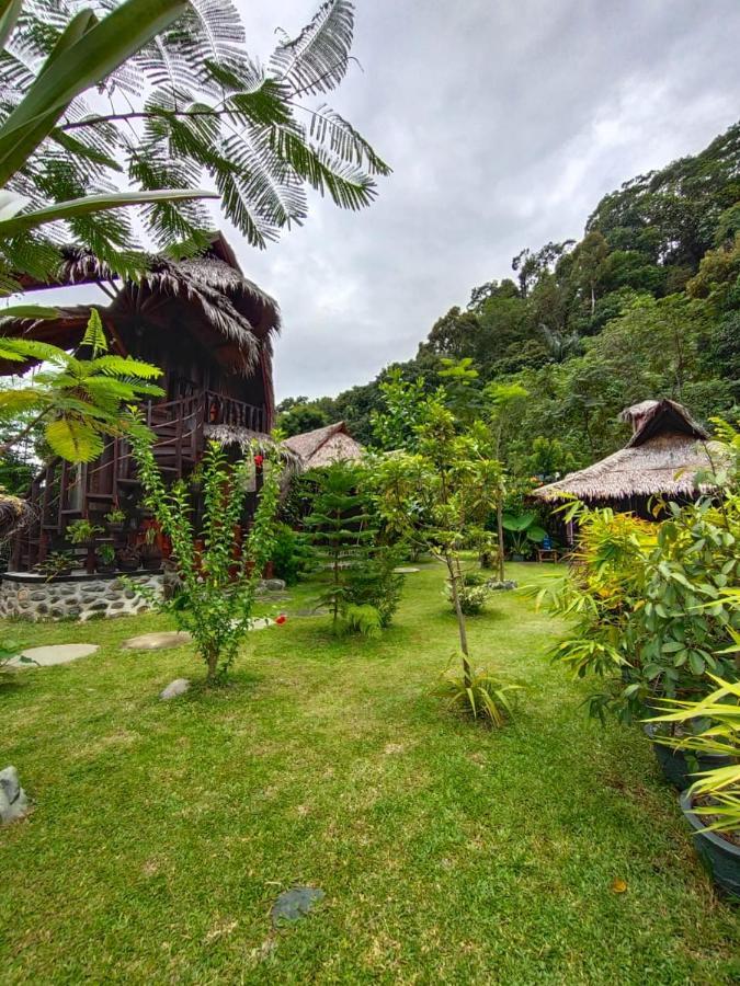 Green Travelodge Bukit Lawang Exterior foto