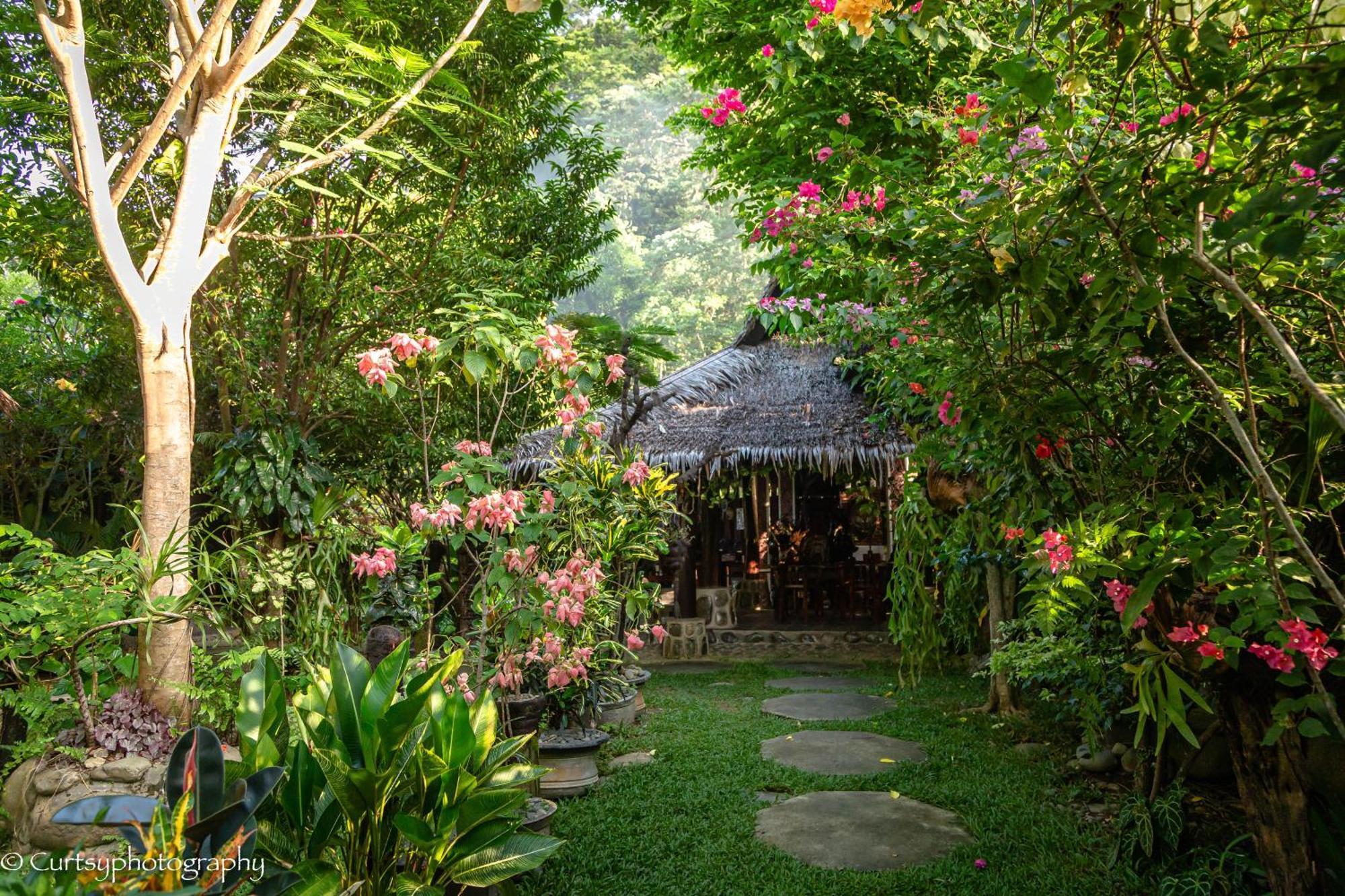 Green Travelodge Bukit Lawang Exterior foto