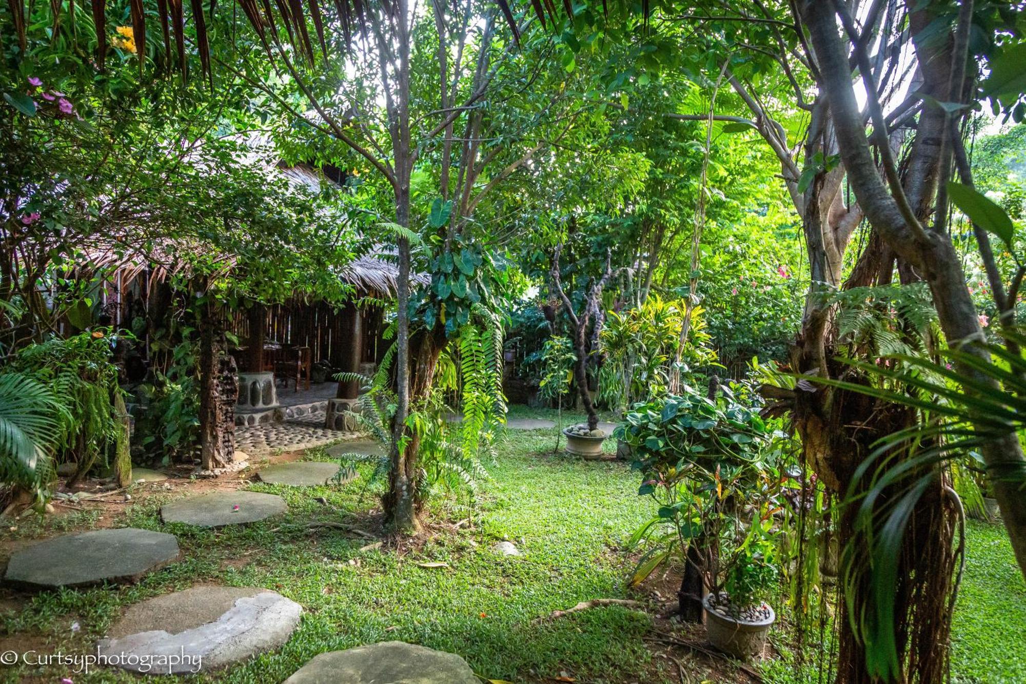 Green Travelodge Bukit Lawang Exterior foto